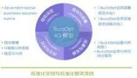 BuzzOpt評估與優化