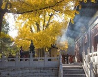 紅螺寺[寺廟]