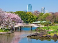 濱離宮恩賜庭園