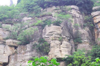 藍溪谷藍莓採摘濰坊旅遊去哪兒網