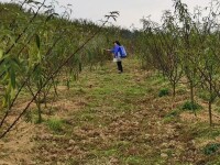 邵家橋鎮