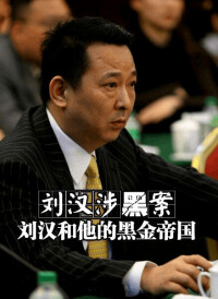 《國家行動》由劉漢劉維等人組織、領導、參加黑社會性質組織罪以及故意殺人案所改編。
