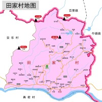 田家村[安徽省太湖縣彌陀鎮田家村]