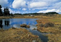 香格里拉市千湖山