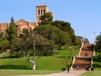 加利福尼亞大學洛杉磯分校