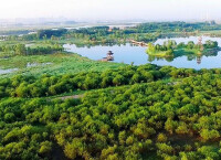 哈爾濱太陽島國家濕地公園