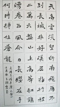 王朝霞書法作品