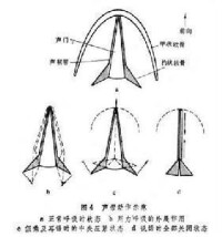 生理語音學