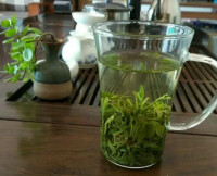 松蘿茶[茶葉]