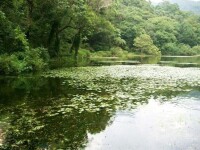 福山植物園