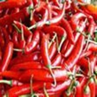 紅色食物——紅辣椒