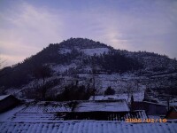 羊樓洞的松峰山-松峰茶的發源地