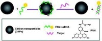 碳量子點檢測DNA 原理