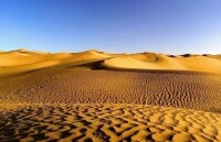 古爾班通古特沙漠風景圖集（1）