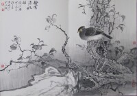 《花鳥》作者：石鵬中