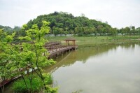 灰湯紫龍湖