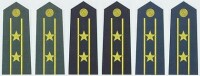 陸海空軍中校常服肩章(2007-)