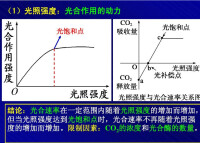 光飽和點