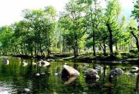 康縣白雲山森林公園