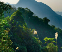 蓮花山景區