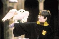 哈利·波特與他的貓頭鷹