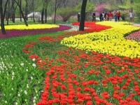 銀川植物園