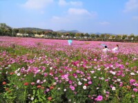 茗山自然風光