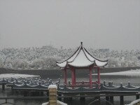 師院雪景