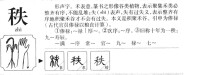 秩的字源演變圖