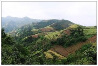 金竹村風景,攝影,騎行線路