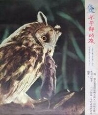 《不平靜的夜》劇照集錦