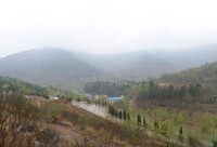 梯子峪村[北京市平谷區大華山鎮梯子峪村]