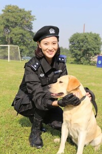 警花與警犬劇照