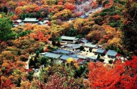 釜山梵魚寺