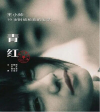 憑藉《青紅》獲第58屆戛納電影節評委會大獎