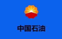 非海外業務使用的司旗