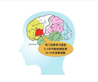 神經語言學