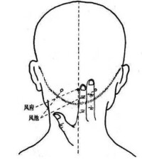 風池穴