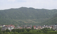 興國鎮