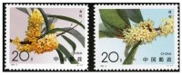 桂花[中國1995年發行郵票]