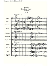 《D大調第二交響曲》第一樂章部分樂譜