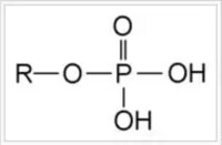 磷酸鹽