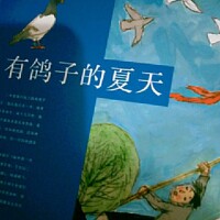 有鴿子的夏天書籍封面