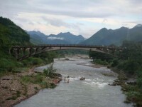 溪口高山茶