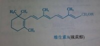 維生素A的結構