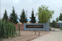 大布蘇鎮社會福利服務中心