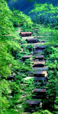 畲族村落