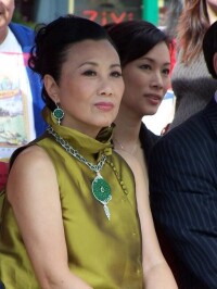 汪明荃連任為第八屆中國全國人大港澳區代表