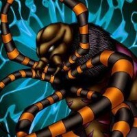 蜘蛛[《遊戲王》卡組之一或卡堆]