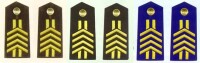 陸海空軍四級軍士長肩章(1993—1999)